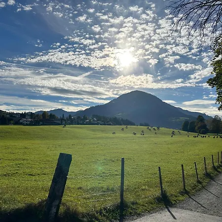 Fleckalm Kirchberg en Tyrol