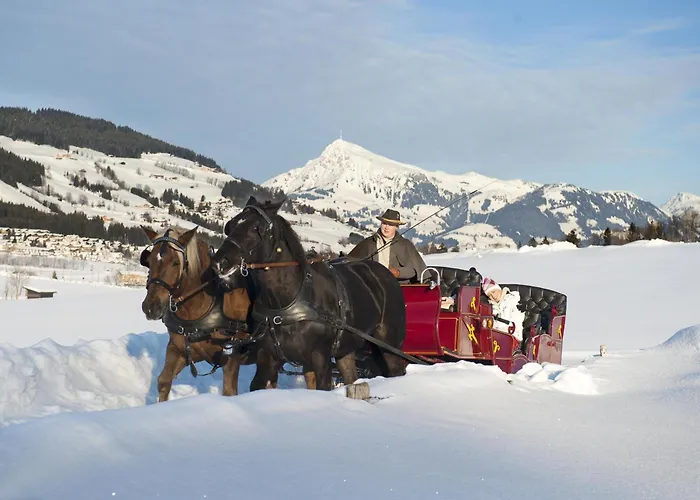 Fleckalm Hébergement de vacances Kirchberg en Tyrol