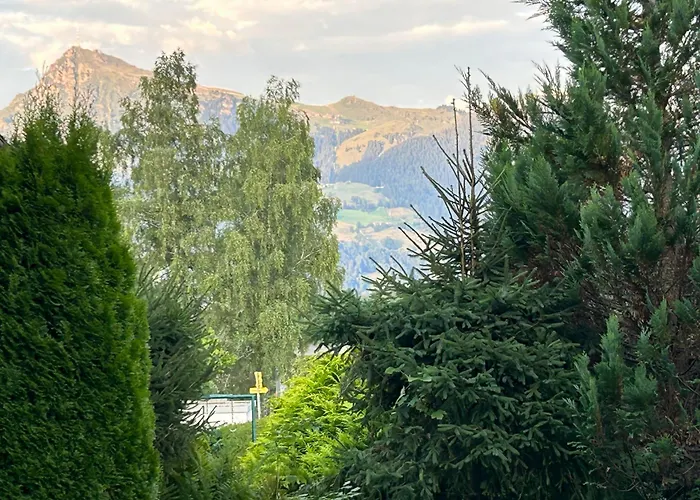 Fleckalm * Kirchberg en Tyrol